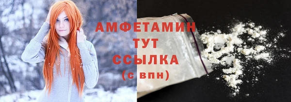 дмт Бородино