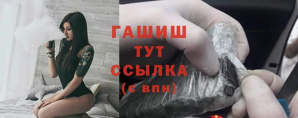 дмт Бородино