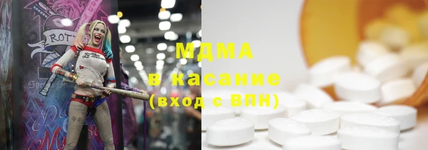дмт Бородино