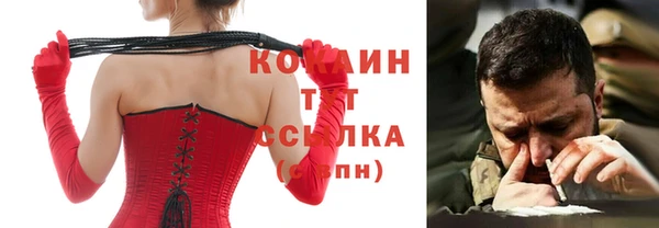 дмт Бородино