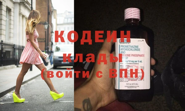 дмт Бородино